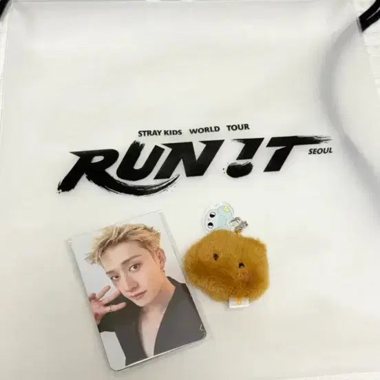 [BUNJANG] Stray Kids MANIAC Encore In Seoul Concert 3rd Day Entry Exclusive Photocard &amp; Keyring Set / 스트레이키즈 7/29 3일차 중콘 콘서트 입장 특전 포카 키링