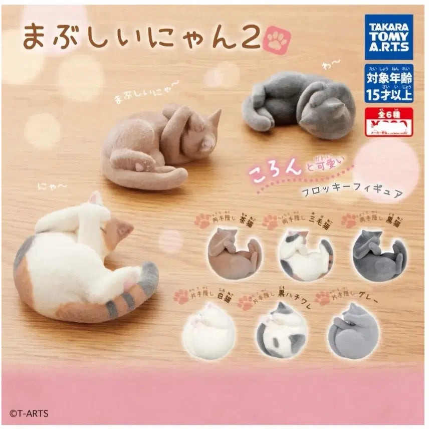 [BUNJANG] Dazzling Nyan Fluffy Cat Figure Series 2 Full Set (6 Types) / 셋 할인!! (새상품) 눈부신냥 복슬복슬 고양이 피규어 2탄 6종 풀셋