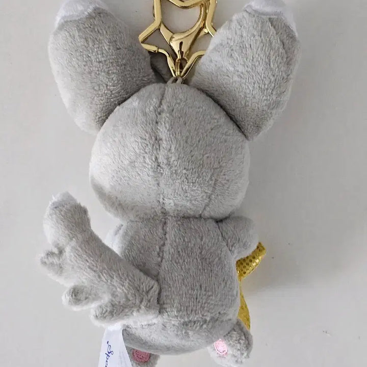 [BUNJANG] Pokemon Chirami Speed Star Plush Keychain / 포켓몬 치라미 스피드스타 인형 키링