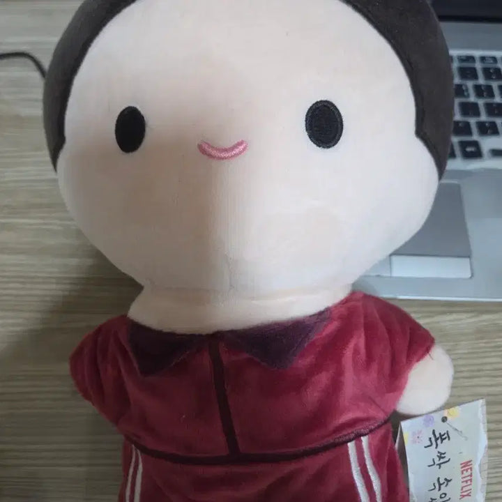 [BUNJANG] Goodbye Earth Kwansik Doll / 폭싹 속았수다 관식이 인형