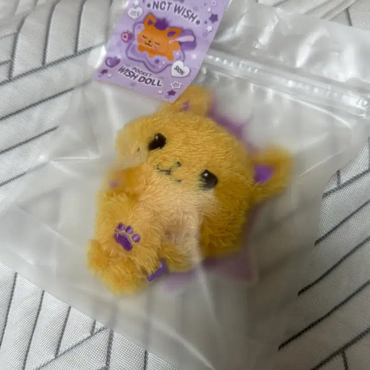 [BUNJANG] NCT WISH Sion Sioning Pocket Doll Pocket Wish Doll / 엔시티위시 시온 시오닝 포켓돌 포켓위시돌