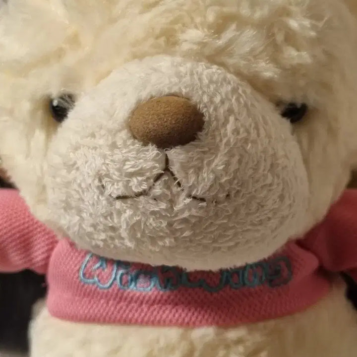 [BUNJANG] Wishwing Bear Plush Pink (Small Size) / (고전)위시윙 곰 인형 핑크(작은 사이즈)