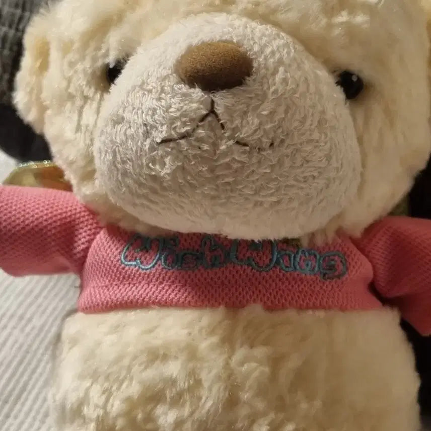 [BUNJANG] Wishwing Bear Plush Pink (Small Size) / (고전)위시윙 곰 인형 핑크(작은 사이즈)