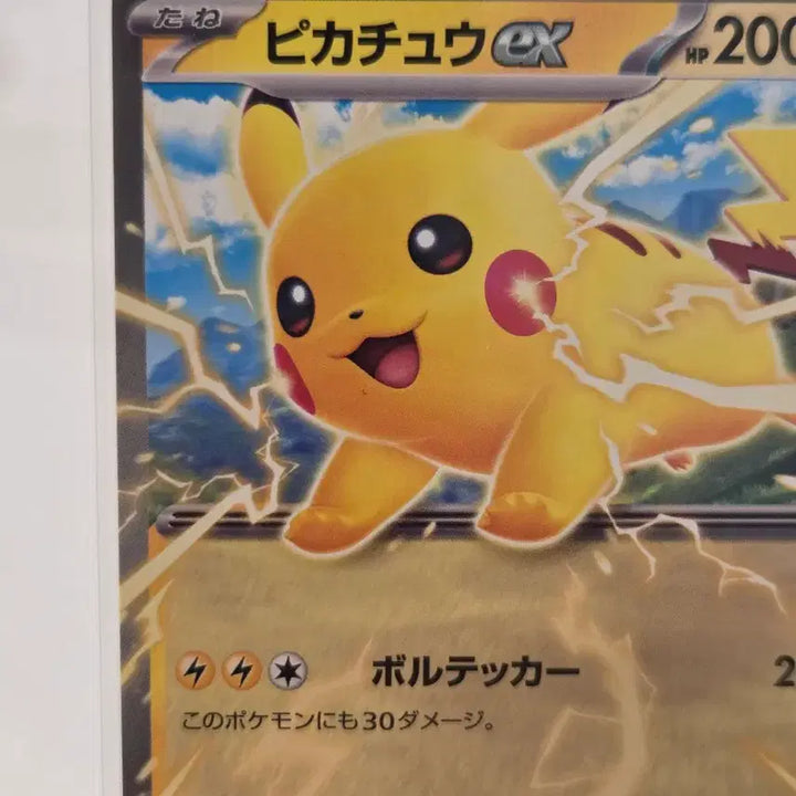[BUNJANG] Pokemon Card Pikachu ex MP1 006/023 My First Dump Set (Japanese Edition) / "포켓통통"[일판/일본판] 포켓몬 카드 피카츄 ex / 마이퍼스트 덤프 세트 MP1 006/023