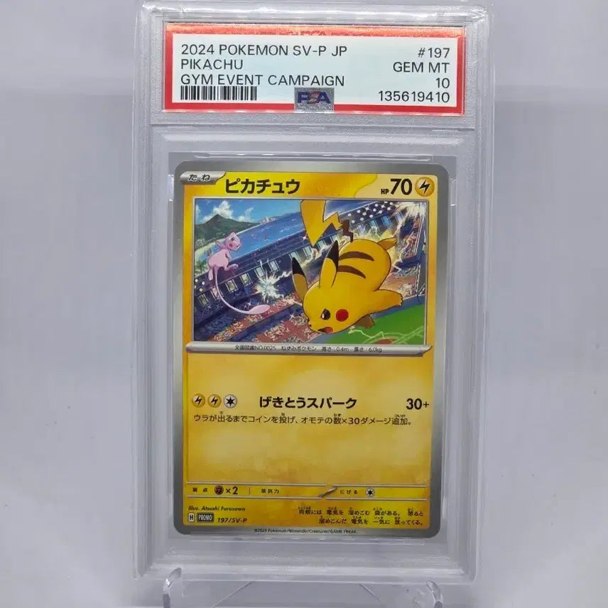 [BUNJANG] 2024 Pokemon Pikachu Gym Event Campaign PSA 10 / 2024 포켓몬 피카츄 짐 이벤트 캠페인 PSA 10