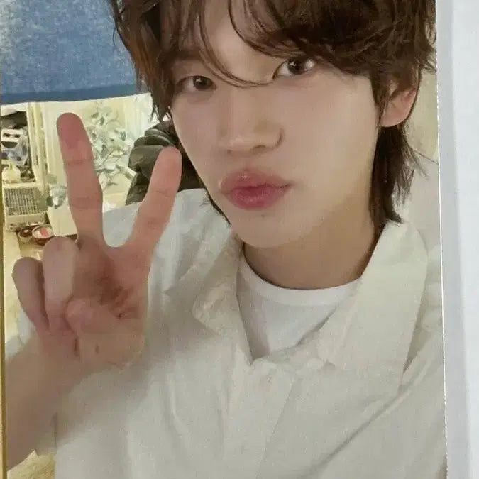 [BUNJANG] TWS Shinyu Soda Soda Japan Tower Records POB Photocard / 투어스 신유 소다소다 일본 타워레코드 특전 사전구매 미공포 tws sodasoda 포토카드