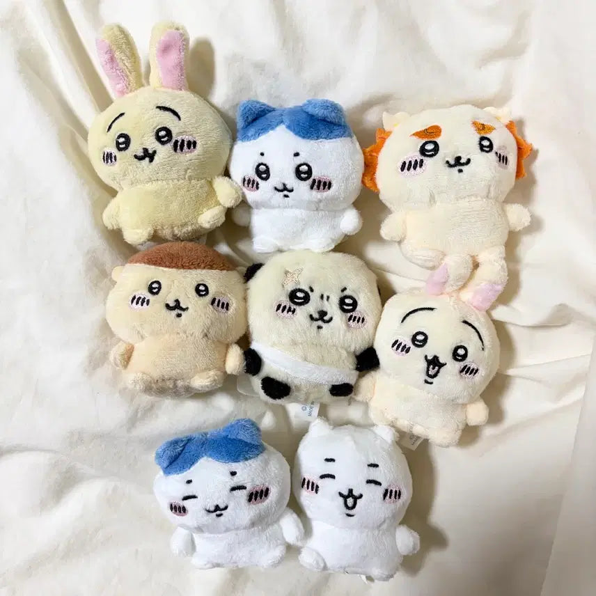 [BUNJANG] Chiikawa Osuwari Plush Doll Set / 치이카와 앉은누이가챠 오스와리 1탄2탄 누이구루미