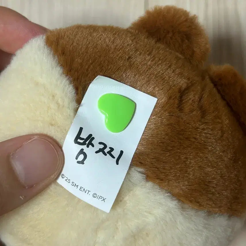[BUNJANG] NCT Dream Jisung Bamzzi Doll Photocard / 엔시티드림 지성 인형 밤찌 포카포함