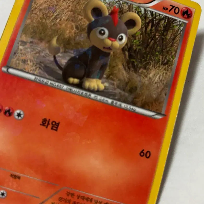 [BUNJANG] Pokemon Vintage Holo Cards - 3 Cards / 포켓몬 고전카드 - 홀로 3장