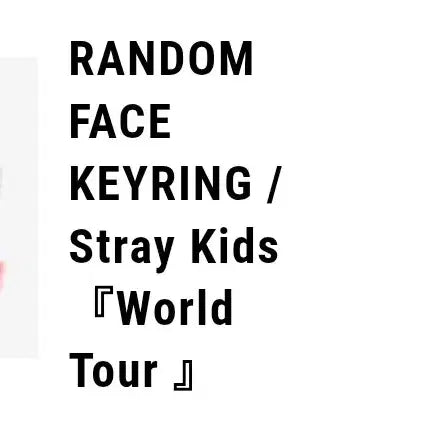 [BUNJANG] Stray Kids Japan MD Random Face Keyring / 스트레이키즈 스키즈 재팬 엠디 랜덤 페이스 키링 원가양도