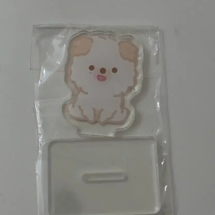 [BUNJANG] Day6 Tanning Merch Don Acrylic Stand / 데이식스 태닝멀즈 돈