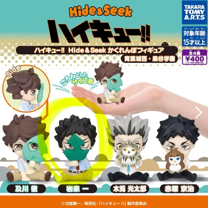 [BUNJANG] Haikyu!! Hide and Seek Iwaizumi Hajime Sealed / 하이큐 숨바꼭질  이와이즈미 미개봉