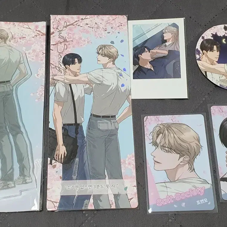 [BUNJANG] Horizon Noctea Salt Society Acrylic Stand, Photocard Bundle Set / 호라이즌 녹티아 noctea 솔소티 솔트 소사이어티 폴라 외 굿즈 일괄 양도
