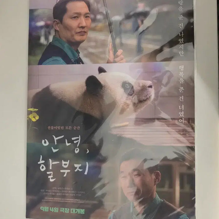 [BUNJANG] Fu Bao Poster Bundle Set / 안녕 할부지 푸바오 포스터(일괄)
