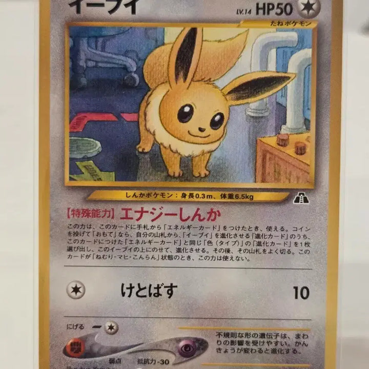 [BUNJANG] Neo Genesis Eevee Lv.14 Vintage Pokemon Card (No. 133) / [일판/빈티지] 고전 네오 포켓몬 카드 이브이 Lv.14 올드백 / neo 2탄 &
