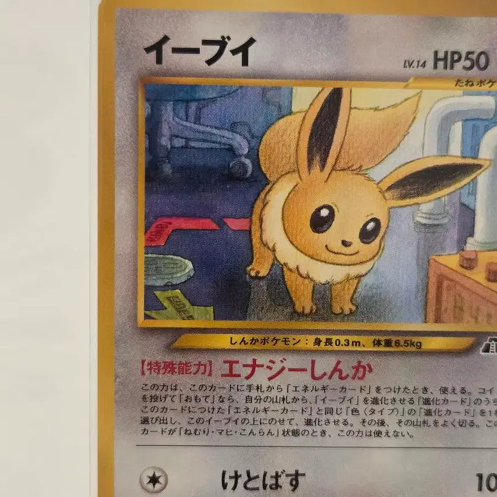 [BUNJANG] Neo Genesis Eevee Lv.14 Vintage Pokemon Card (No. 133) / [일판/빈티지] 고전 네오 포켓몬 카드 이브이 Lv.14 올드백 / neo 2탄 &