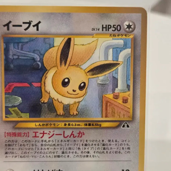 [BUNJANG] Neo Genesis Eevee Lv.14 Vintage Pokemon Card (No. 133) / [일판/빈티지] 고전 네오 포켓몬 카드 이브이 Lv.14 올드백 / neo 2탄 &