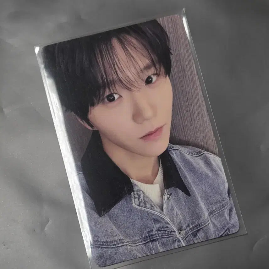 [BUNJANG] NCT WISH Steady Is We Jaehee Photocard / 엔시티위시 스테디 이즈위 재희