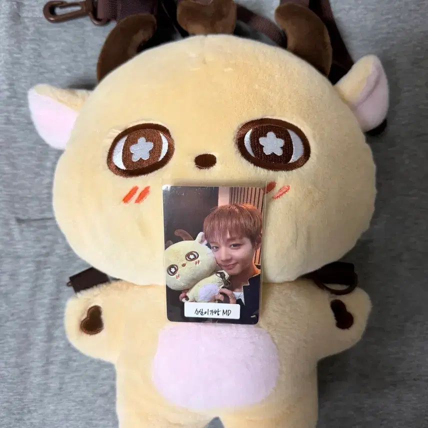 [BUNJANG] Park Jihoon (So-sim-i) Picnic Character Bag / 사운드웨이브 박지훈 소심이팝업 소심이 가방 피크닉 캐릭터 백
