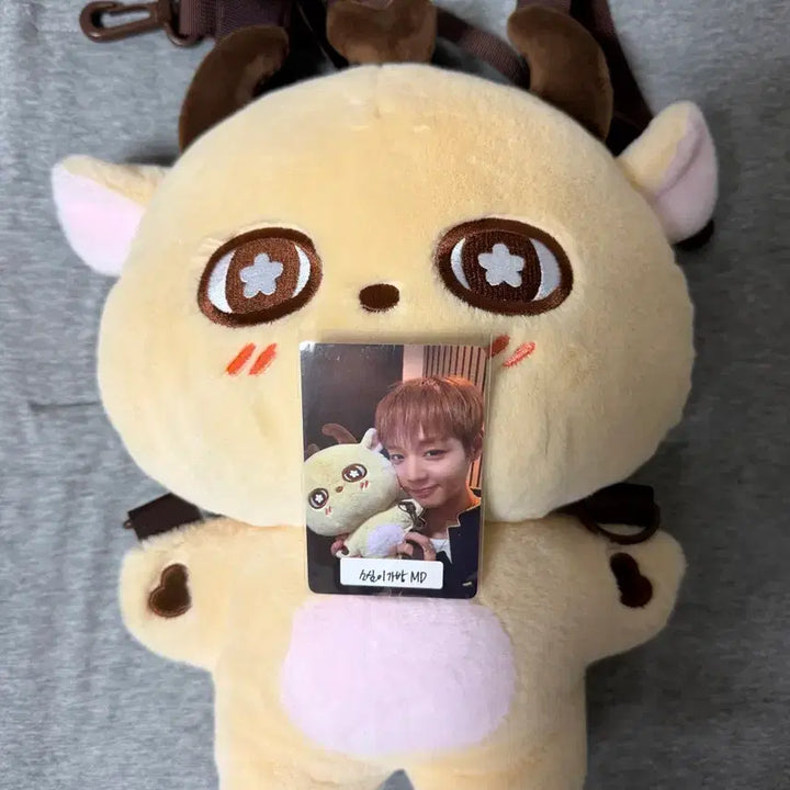 [BUNJANG] Park Jihoon (So-sim-i) Picnic Character Bag / 사운드웨이브 박지훈 소심이팝업 소심이 가방 피크닉 캐릭터 백