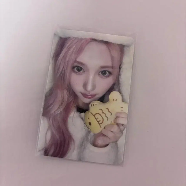 [BUNJANG] IVE Gaeul Hello Live Bungeoppang Photocard / 아이브 시크릿 가을 헬로라이브 붕어빵