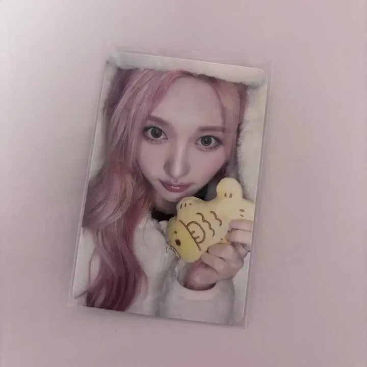 [BUNJANG] IVE Gaeul Hello Live Bungeoppang Photocard / 아이브 시크릿 가을 헬로라이브 붕어빵