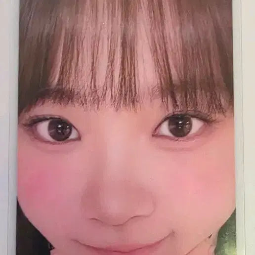 [BUNJANG] LE SSERAFIM Pure Bloom Japan Membership Kim Chaewon Photocard / 르세라핌 퓨어플로우 일본 멤버십 김채원 포토카드