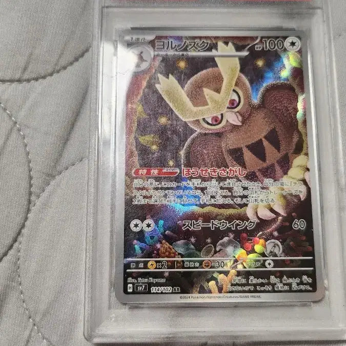 [BUNJANG] 2024 Pokemon Noctowl Art Rare PSA 10 Graded Card / 2024 포켓몬 야부엉아트 레어 PSA 10