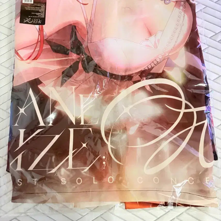 [BUNJANG] Akane Rize Concert Hoodie / 아카네 리제 콘서트 핫피