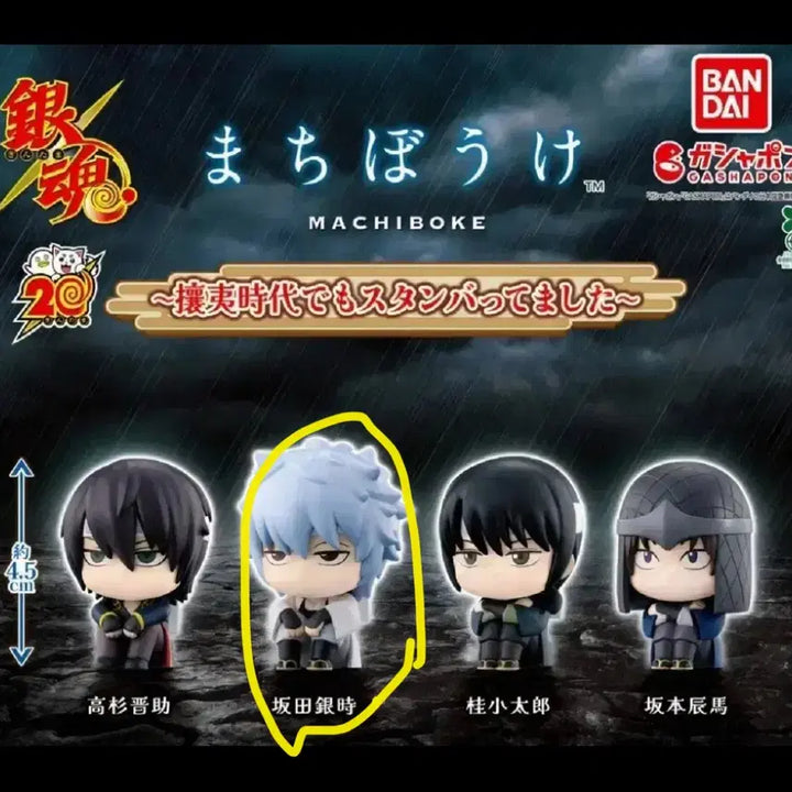 [BUNJANG] Gintama Machiboke 4th Edition Sakamoto Tatsuma / 은혼 마치보케 4탄 양이지사 긴토키