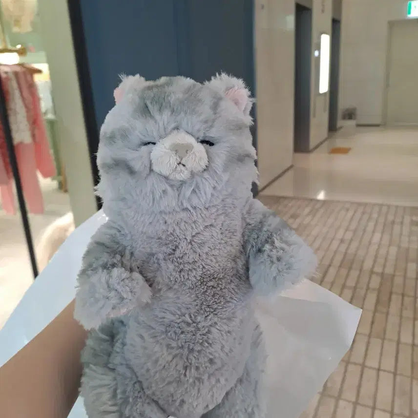 [BUNJANG] Sunlemon Tteuya Tteuya Gray Cat Plush Doll (Mini) / [선레몬 공식] 쓰야쓰야 그레이 고양이 애착 인형