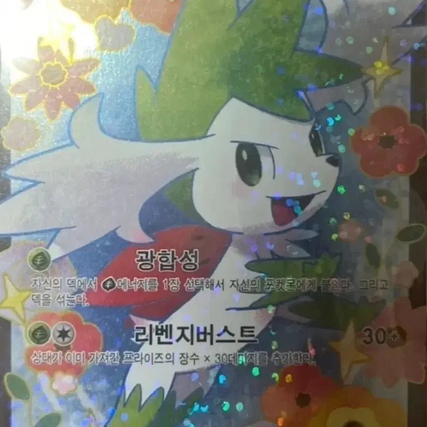 [BUNJANG] BW Pokemon Card Shaymin EX / BW 포켓몬 카드 쉐이미 EX
