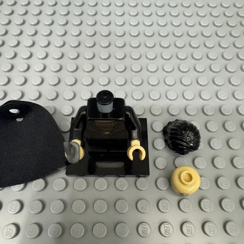 [BUNJANG] Lego The Lord of the Rings 10237 Orthanc Grima Minifigure / 레고 반지의 제왕 10237 오르상크의 탑 그리마 미니피규어