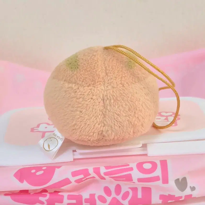 [BUNJANG] Miniature Flat Squirrel Plush Keychain / 고전 빈티지 납작 동물 다람쥐 액정 클리너 미니 마스코트 똥인형 키링