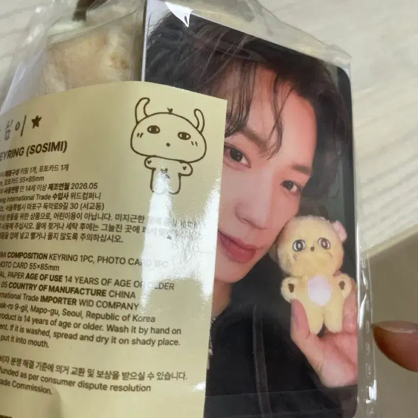 [BUNJANG] Soseumi Doll / 소심이 인형