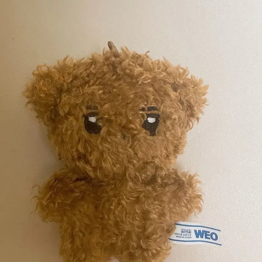 [BUNJANG] The Boyz Sunwoo Jjopu Doll / 쪼푸 인형 더보이즈 선우 인형