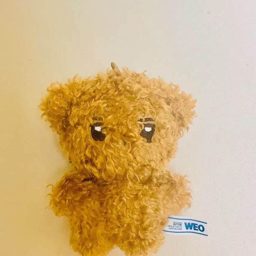 [BUNJANG] The Boyz Sunwoo Jjopu Doll / 쪼푸 인형 더보이즈 선우 인형
