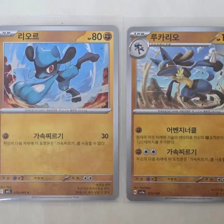 [BUNJANG] Pokemon Card Lucario / 포켓몬 카드 리오르 루카리오 일반