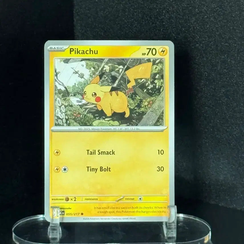 [BUNJANG] Pokemon Card North America Pikachu Popular Illustration OSS/217 / 포켓몬 카드 북미) 피카츄 인기일러