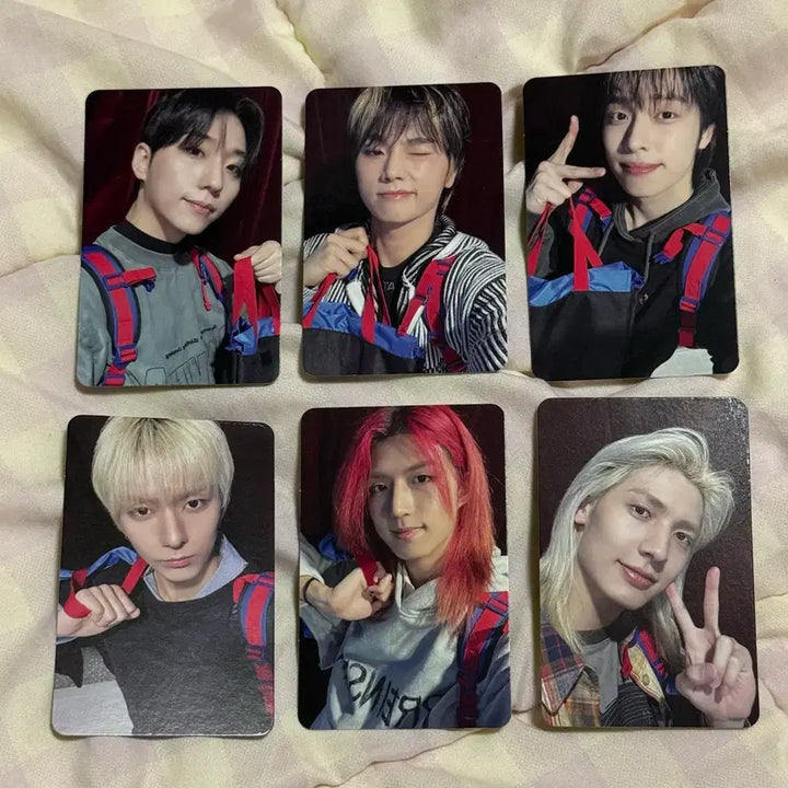 [BUNJANG] X1Z Beautiful Mind Final Concert Entry Photocard Set / 엑디즈 뷰마 파이널 첫콘 막콘 입장포카 세트 Beautiful mind