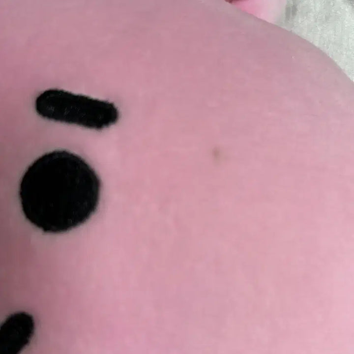 [BUNJANG] BT21 COOKY Plush Doll / BT21 쿠키(COOKY) 인형