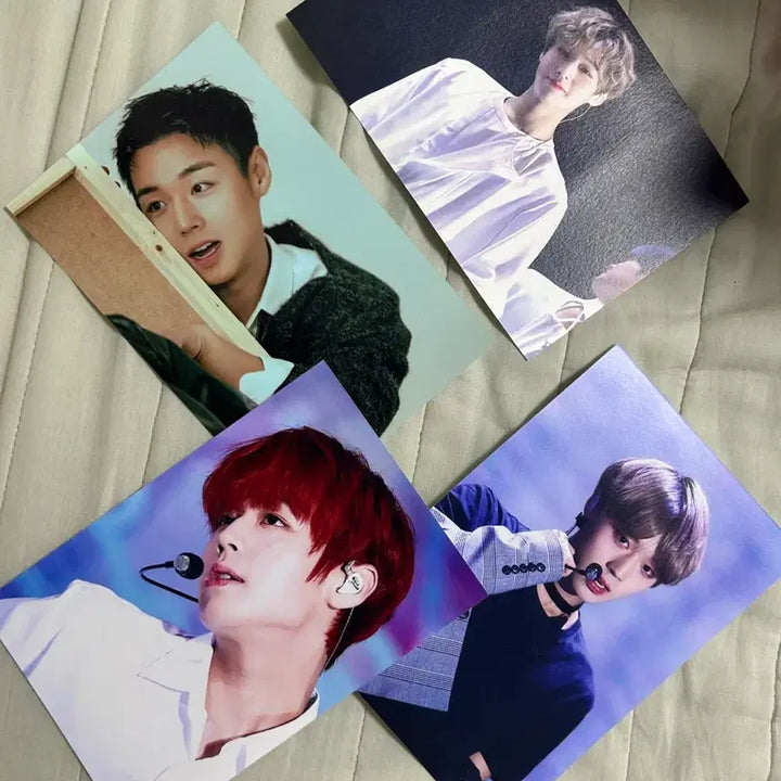 [BUNJANG] Park Jihoon Unofficial Photo Print Set / 박지훈 비공굿 인화사진 +덤