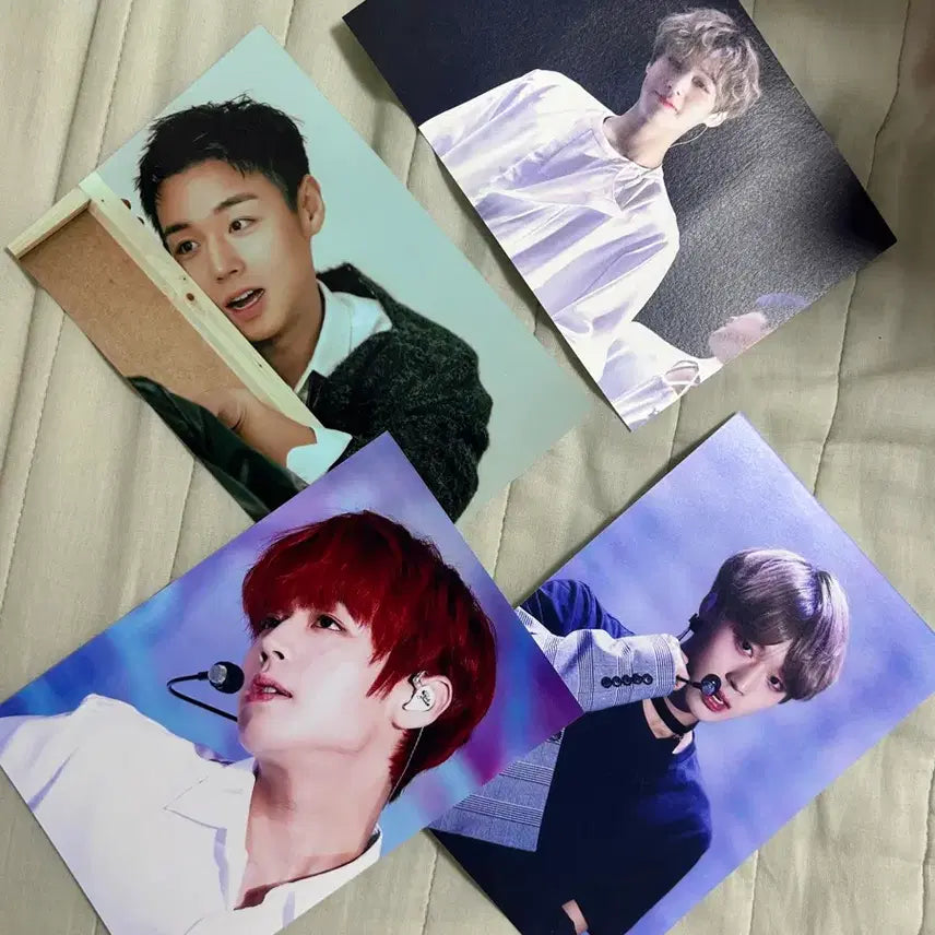 [BUNJANG] Park Jihoon Unofficial Photo Print Set / 박지훈 비공굿 인화사진 +덤