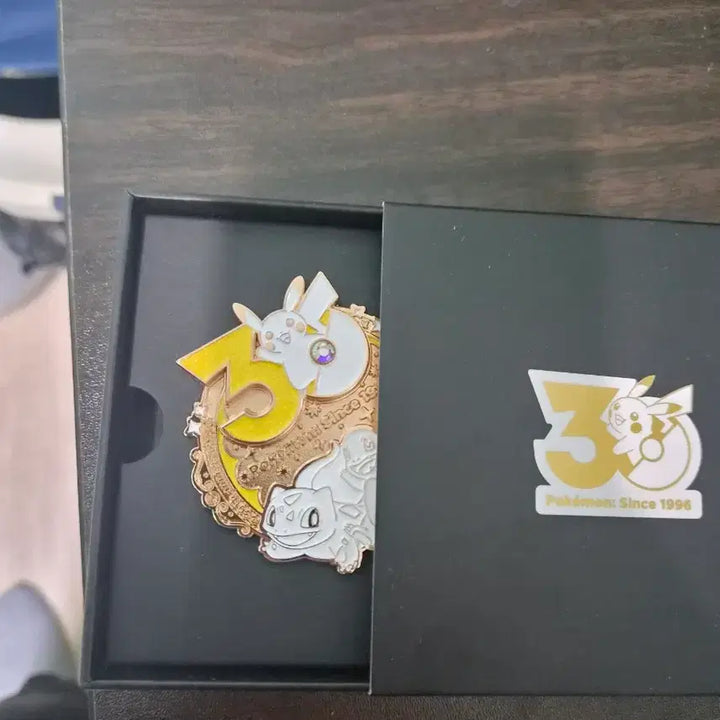 [BUNJANG] Pokemon 30th Anniversary Badge / 포켓몬 30주년 뱃지 3월 팔아용