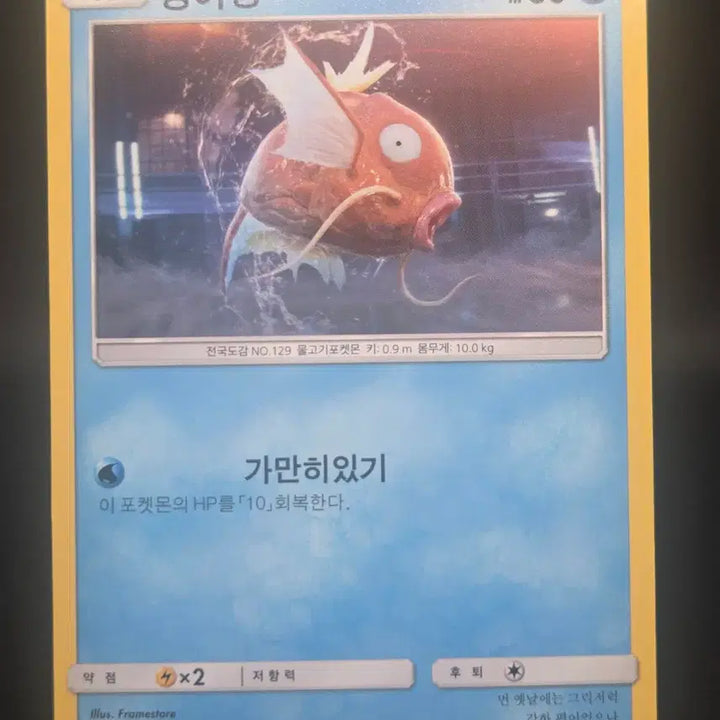 [BUNJANG] Detective Pikachu Magikarp North America + Spain + Korean Set / 명탐정 피카츄 잉어킹 8/18 북미 + 스페인+ 한글판 세트