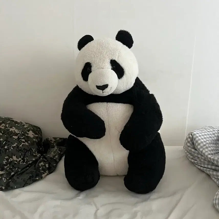 [BUNJANG] Aibao, Ruibao, Huibao Panda Dolls / 아이바오 루이바오 후이바오 인형