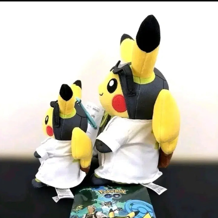 [BUNJANG] Pokemon Professor Willow&