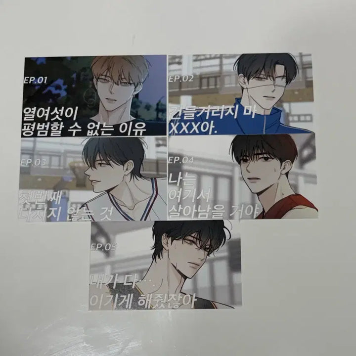 [BUNJANG] Garbage Time Unofficial Photocard Bundle Set / 가비지타임 비공굿 일괄 양도 포웨님 영오님 pp님 복어님 춘봉님 포카 스티커 홀더 폴라