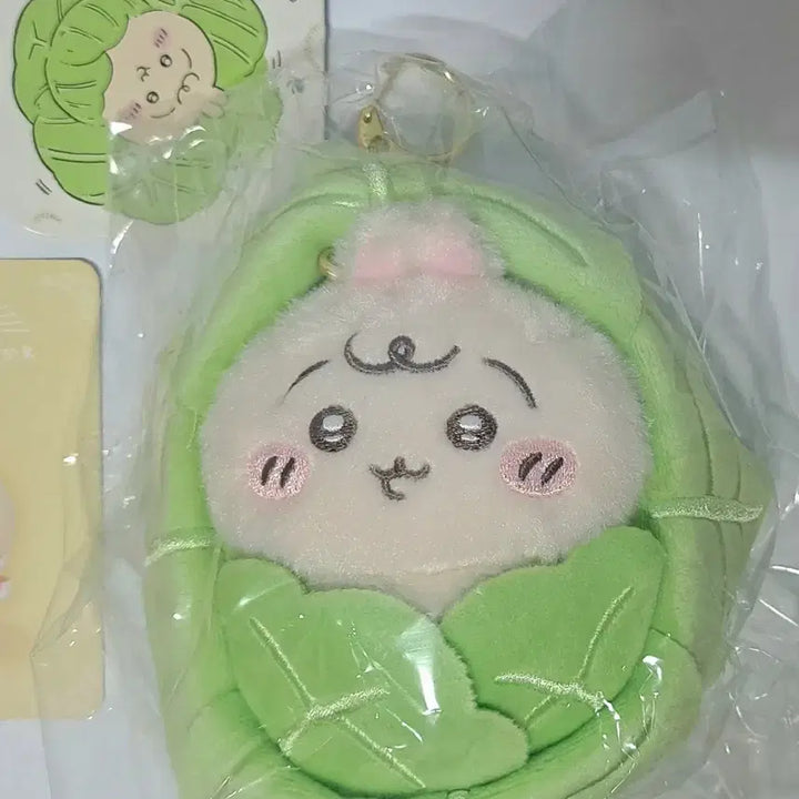 [BUNJANG] Cabbage Usagi Plush / 양배추 우사기 판매합니다