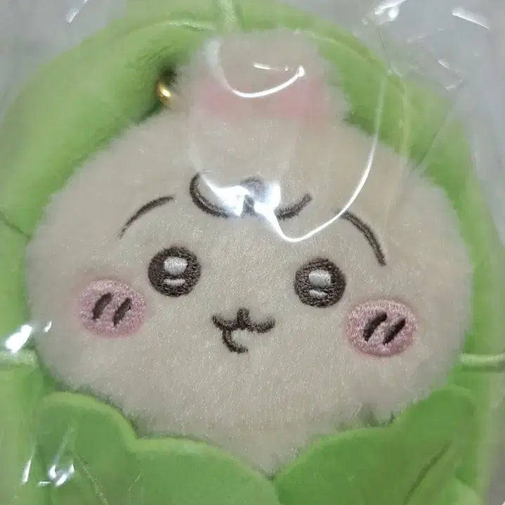 [BUNJANG] Cabbage Usagi Plush / 양배추 우사기 판매합니다